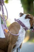 Poo-Bag Klassik rosa