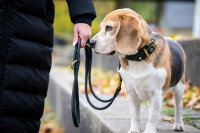 Rundleine Leder grün