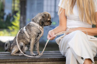 Lederleine rundgenäht elfenbein 2m - 6mm elfenbein - silber