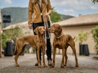 Lederhalsband rundgenäht elfenbein