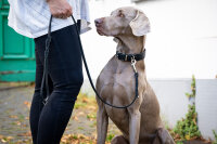 Hundleine aus Leder Klassik ab 1m