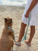 Lederhalsband rundgenäht mint