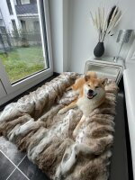 Hundebett Buddelbox Luchs M Luchs-beige